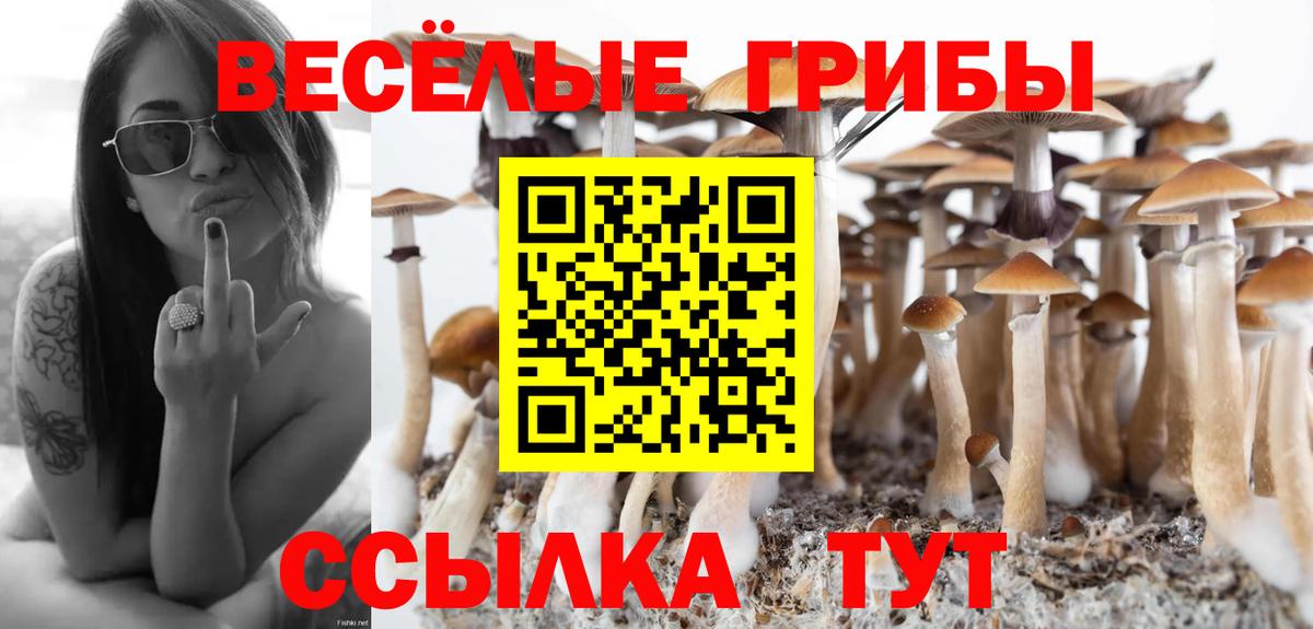 цены наркотик  Вход с VPN  Назрань  Псилоцибиновые грибы ЛСД  Псилоцибиновые грибы Psilocybe 